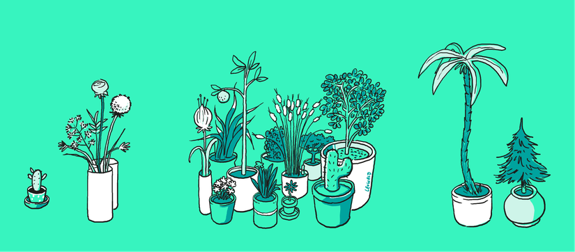 Verschiedene Pflanzen und Blumen auf hellgrünem Hintergrund. Eine Illustration von Leo Leowald.