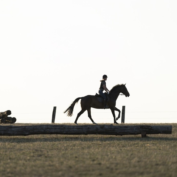 Vielseitigkeitsreiten, Hof Schulze Niehues, Warendorf, 2019. Foto: LWL/ Kainulainen (vergrößerte Bildansicht wird geöffnet)